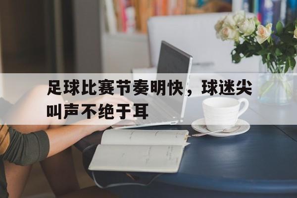 足球比赛节奏明快，球迷尖叫声不绝于耳